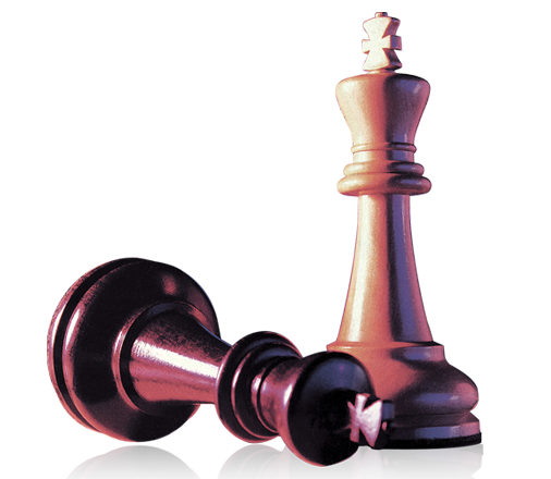 ŷ������������ʱ��������Ӫ��